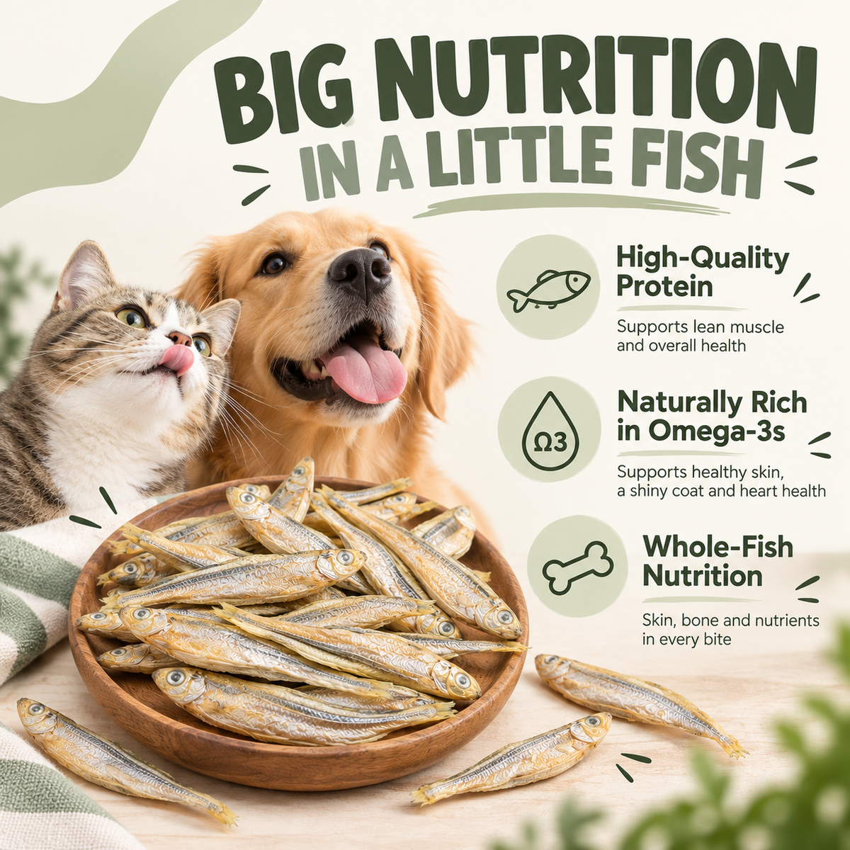 Wild-Caught Minnows Freeze-Dried Treats