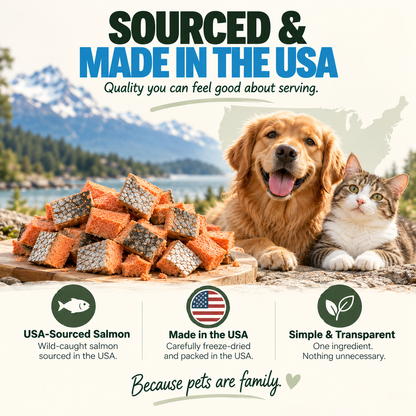 Wild-Caught Salmon Freeze-Dried Treats