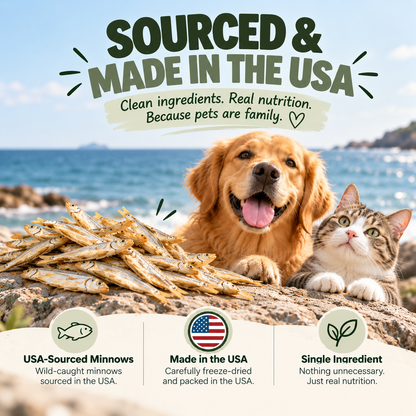 Wild-Caught Minnows Freeze-Dried Treats